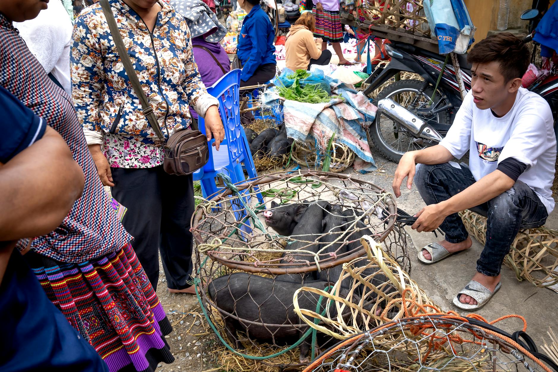Trump's Vision for Tiny Cars: A Shift in American Automotive Culture?