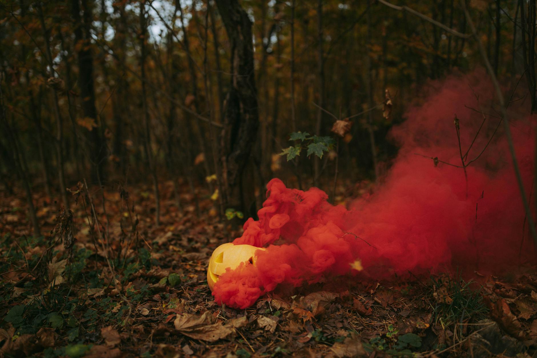 Block's Bold Move: AI-Driven Layoffs Reshape Workforce