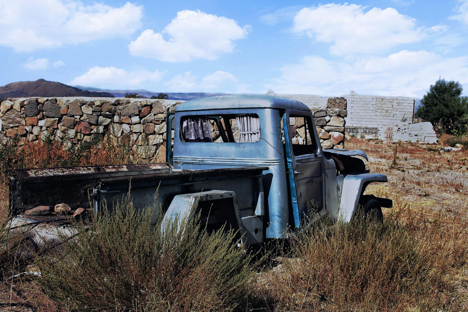 IndiGo Appoints Willie Walsh as New CEO Amid Operational Challenges