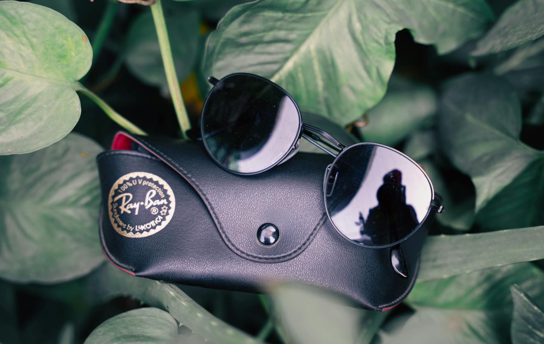 Meta's Ray-Ban Smart Glasses: A Surge in Popularity Amid Privacy Concerns