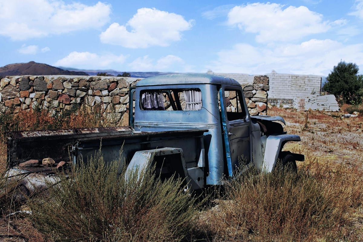 IndiGo Appoints Willie Walsh as New CEO Amid Operational Challenges